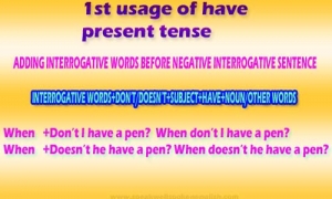 1st usage of Have present tense | Adding interrogative words